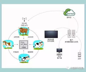 一個你不知道的神器！不了解它，連牛羊都不讓你養，你還談什么智慧養殖？